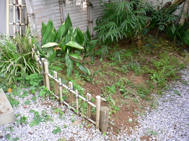 高松　草抜きの依頼がありました。