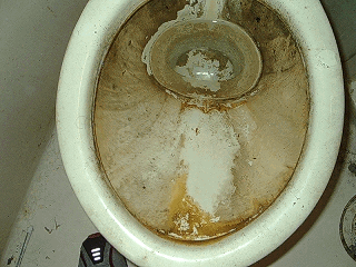 高松市　トイレ清掃依頼をお受け致しました！ ハウスクリーニング