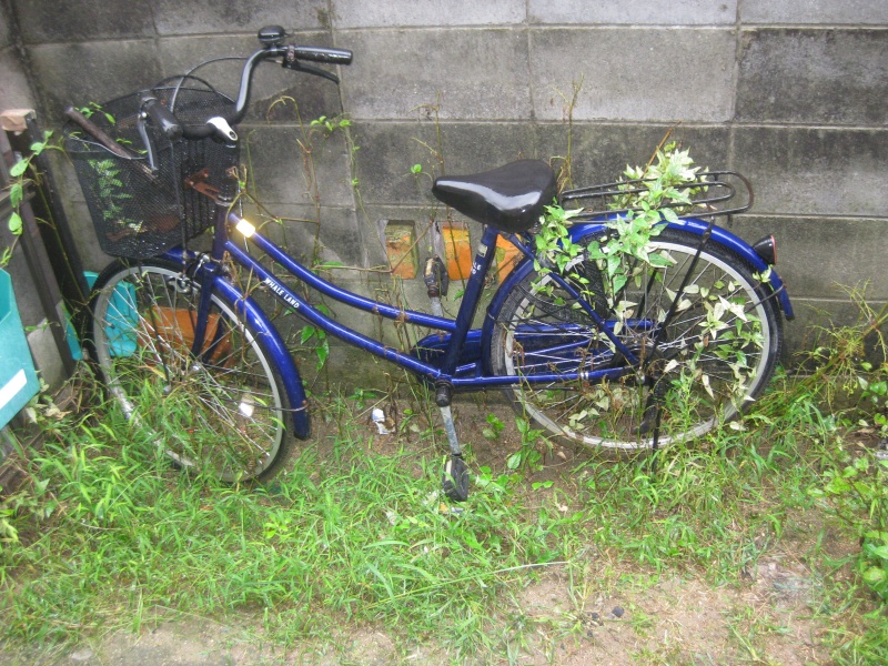【高松　買い取り】自転車の買取を致しました